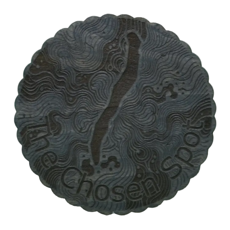 The Chosen Spot Coasters