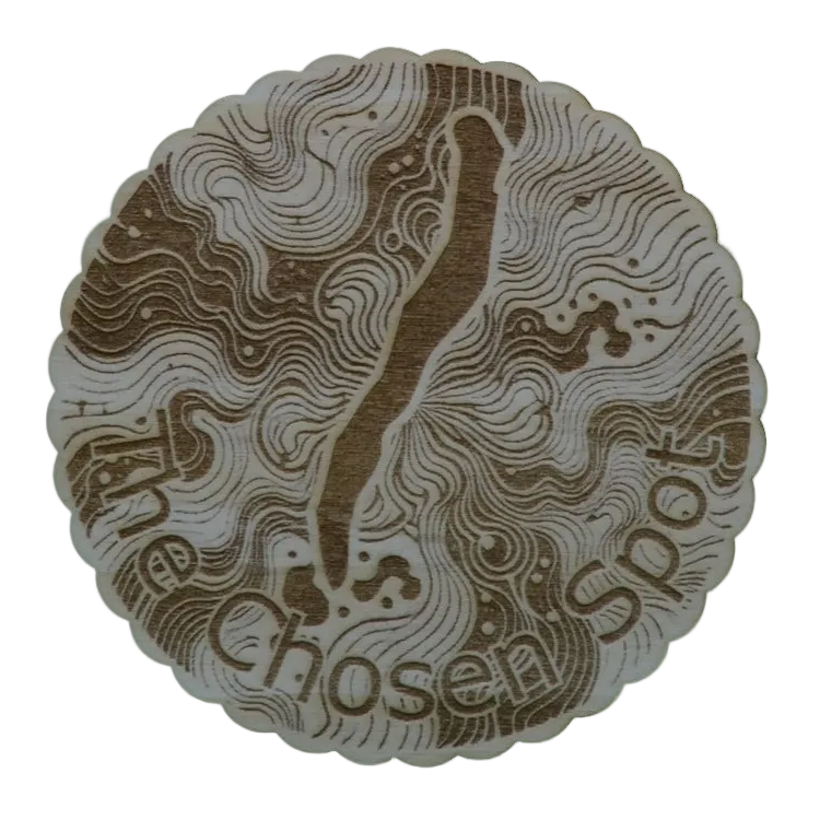 The Chosen Spot Coasters