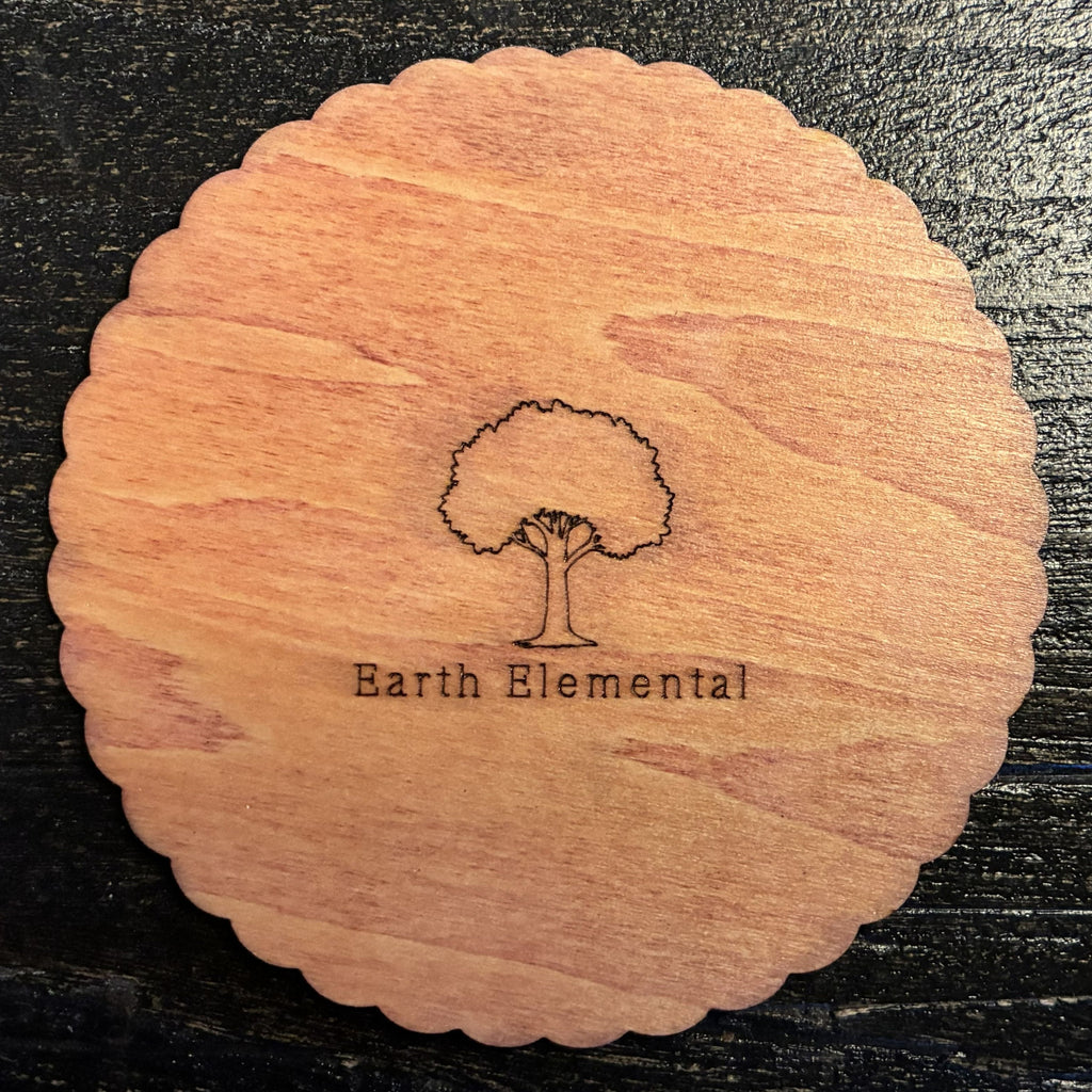 The Chosen Spot Coasters