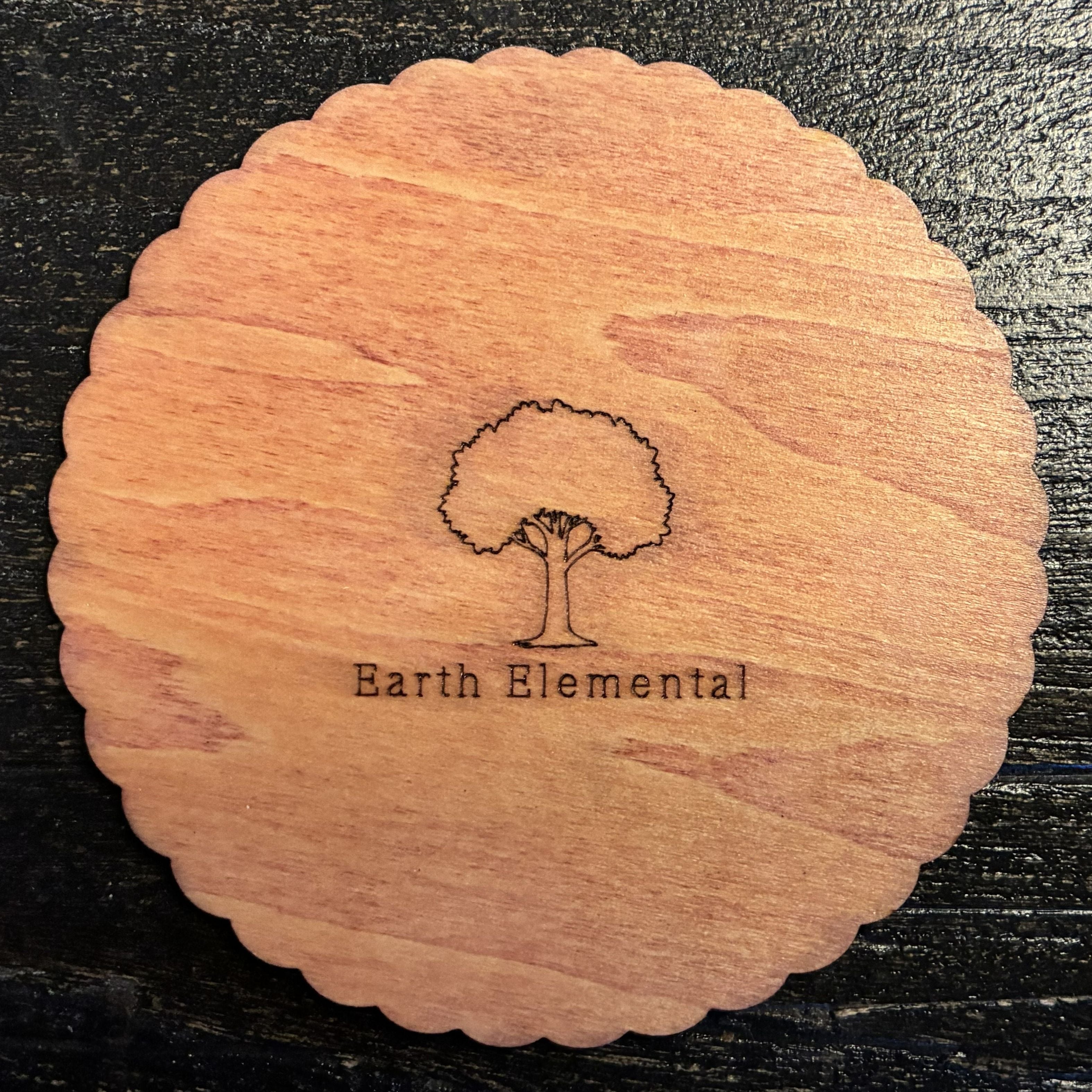 The Chosen Spot Coasters