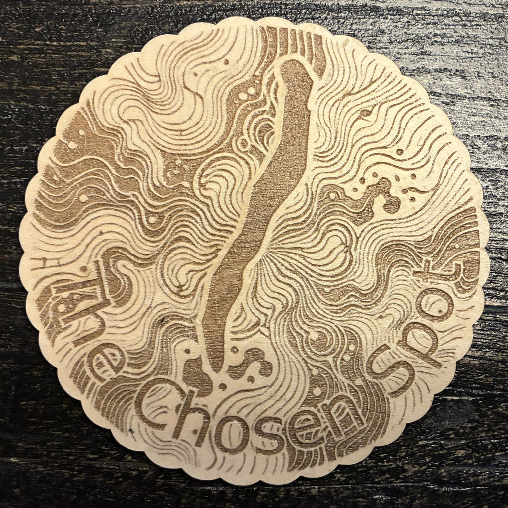 The Chosen Spot Coasters
